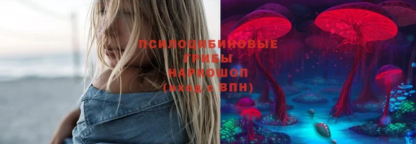 дурь Алзамай